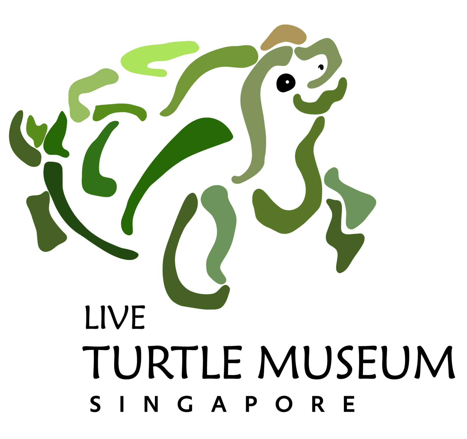 Tortoise Thumbs: A Wild Discovery! - 6zjpvuz